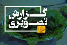 گزارش تصویری مراسم جشنواره غذا